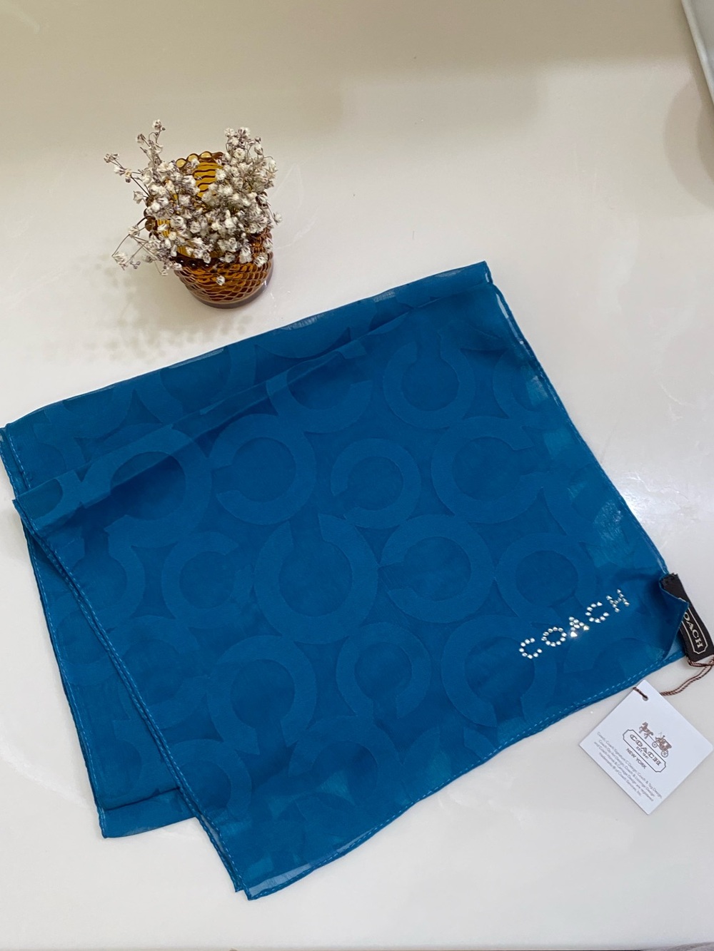 Coach Teal Signature Scarf